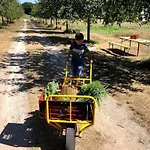 Nyaraló La Ferme De Brouage - #2 *