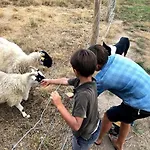 La Ferme De Brouage - #2