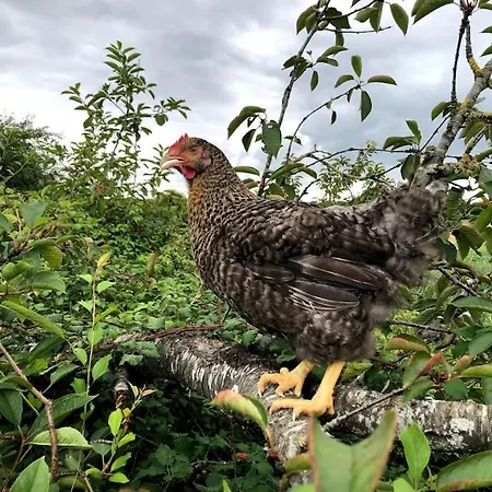 Nyaraló La Ferme De Brouage - #2 *