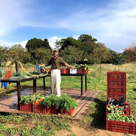 Nyaraló La Ferme De Brouage - #2 *