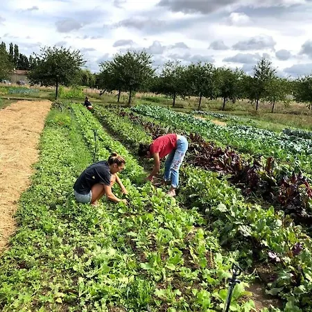 La Ferme De Brouage - #2 * La-Gripperie-Saint-Symphorien