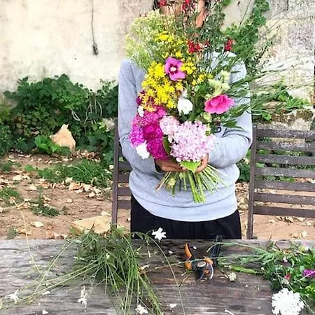 La Ferme De Brouage - #2 *