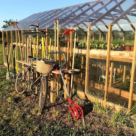 La Ferme De Brouage - #2 * La-Gripperie-Saint-Symphorien