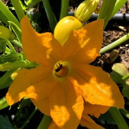 La Ferme De Brouage - #2 Nyaraló