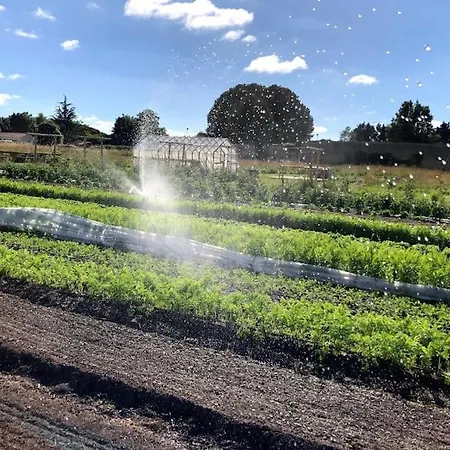 Nyaraló La Ferme De Brouage - #2 La-Gripperie-Saint-Symphorien