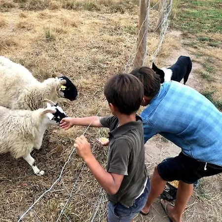 La Ferme De Brouage - #2