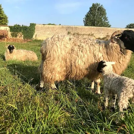 Nyaraló La Ferme De Brouage - #2 *