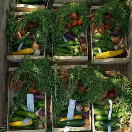 La Ferme De Brouage - #2