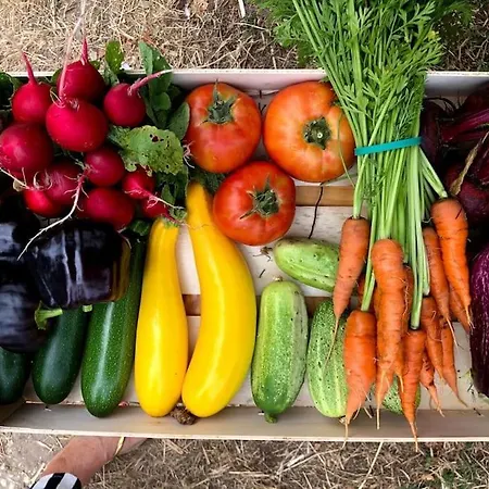 Nyaraló La Ferme De Brouage - #2 La-Gripperie-Saint-Symphorien