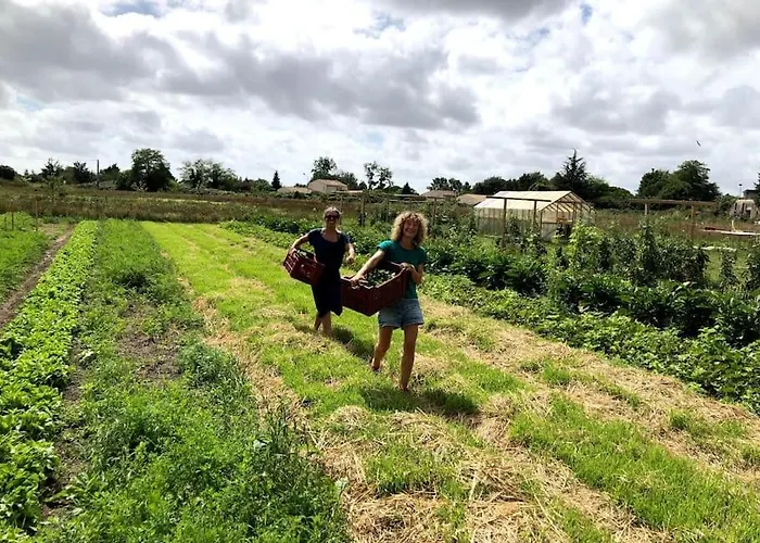 La Ferme De Brouage - #2 La-Gripperie-Saint-Symphorien