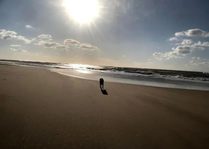 Сasa de vacaciones La Ferme De Brouage - #2