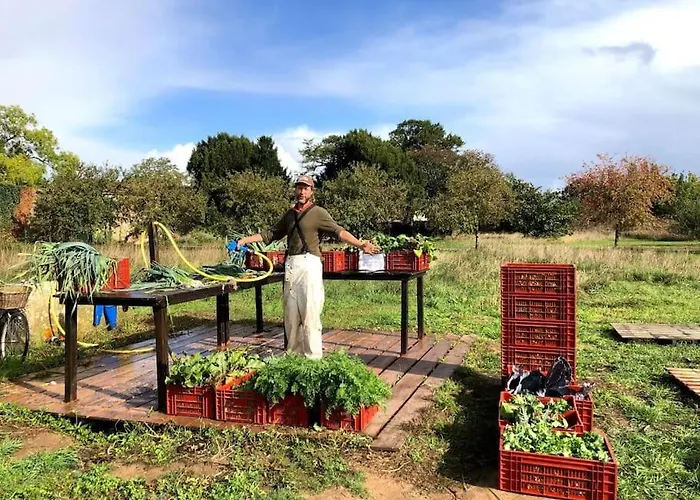 Сasa de vacaciones La Ferme De Brouage - #2 *