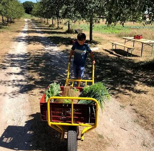 Сasa de vacaciones La Ferme De Brouage - #2 *