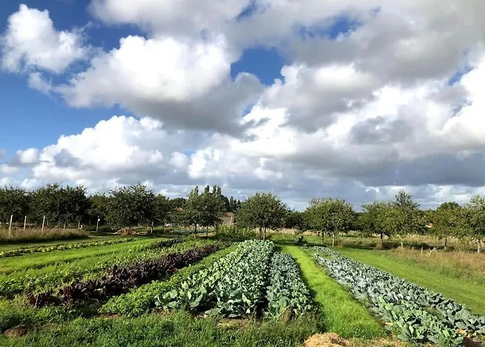 La Ferme De Brouage - #2 Сasa de vacaciones La-Gripperie-Saint-Symphorien