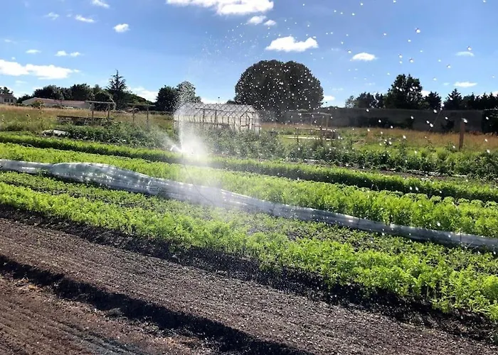 Сasa de vacaciones La Ferme De Brouage - #2 La-Gripperie-Saint-Symphorien