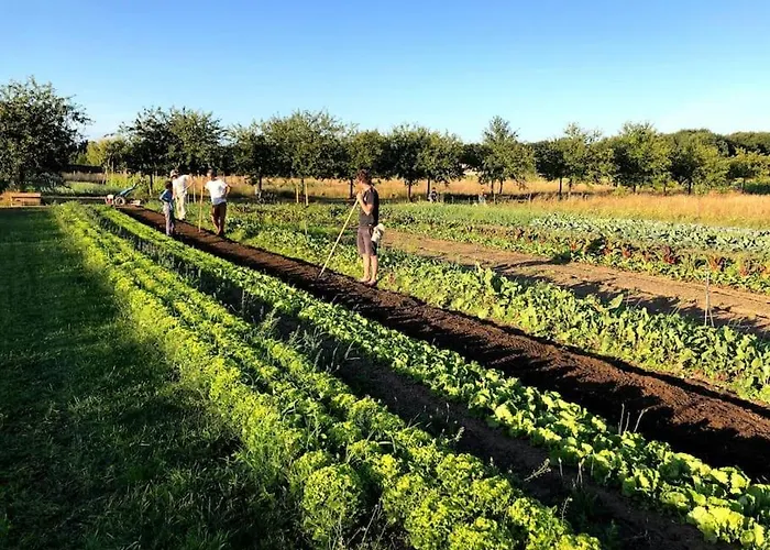 La Ferme De Brouage - #2 La-Gripperie-Saint-Symphorien
