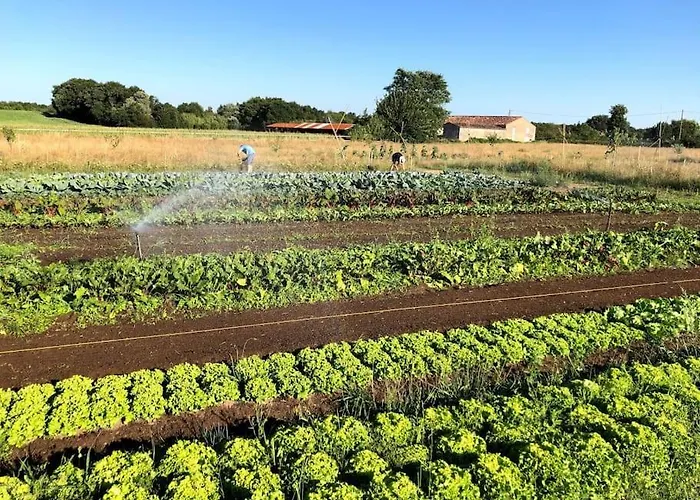 La Ferme De Brouage - #2 La-Gripperie-Saint-Symphorien