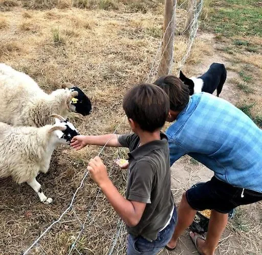 La Ferme De Brouage - #2