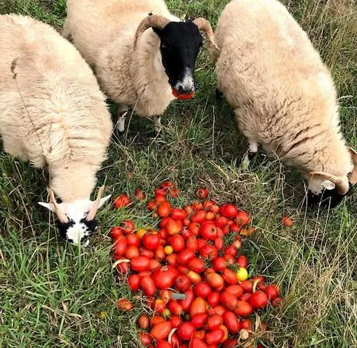 La Ferme De Brouage - #2 Сasa de vacaciones La-Gripperie-Saint-Symphorien