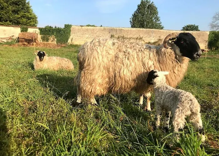 Сasa de vacaciones La Ferme De Brouage - #2 *