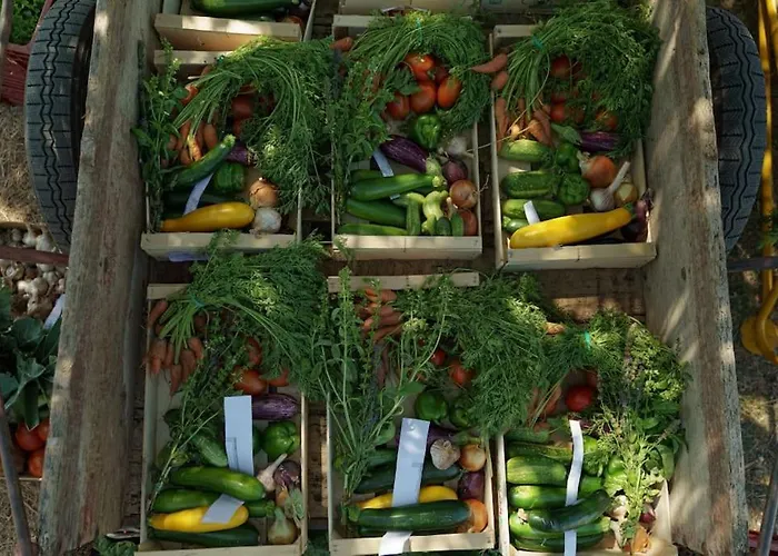 La Ferme De Brouage - #2