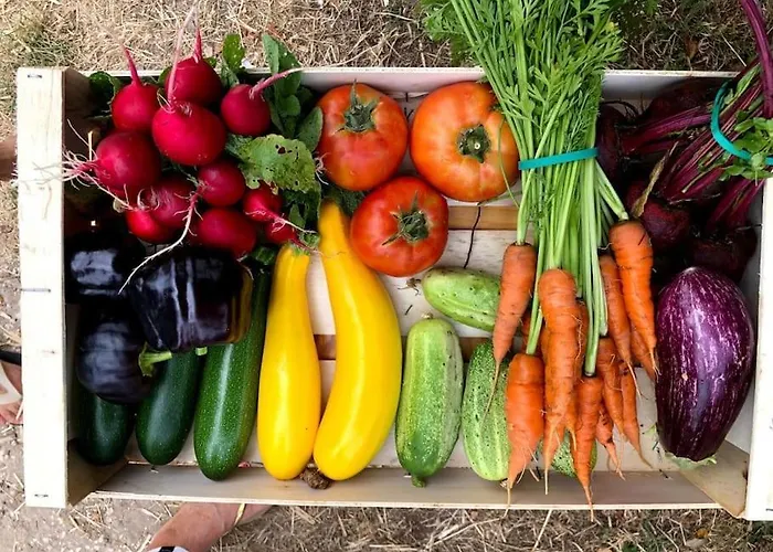 Сasa de vacaciones La Ferme De Brouage - #2 La-Gripperie-Saint-Symphorien